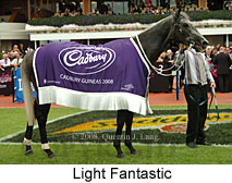 Light Fantastic (14872 bytes)