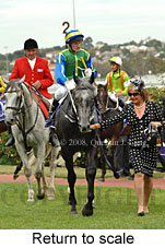 Return to scale (15361 bytes)