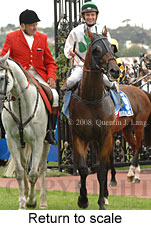 Return to scale (15361 bytes)