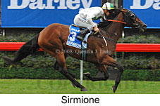 Sirmione (14872 bytes)