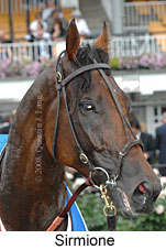 Sirmione (14872 bytes)