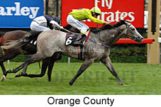 Orange County (14872 bytes)