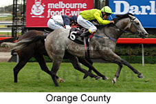 Orange County (14872 bytes)