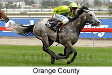 Orange County (14872 bytes)