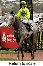 Return to scale (15361 bytes)