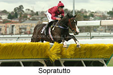 Sopratutto (11039 bytes)