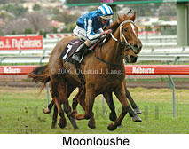 Moonloushe (14872 bytes)