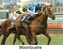 Moonloushe (14872 bytes)