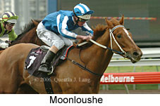 Moonloushe (14872 bytes)