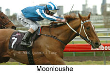 Moonloushe (14872 bytes)