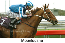 Moonloushe (14872 bytes)