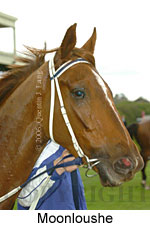 Moonloushe (14872 bytes)