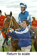 Return to scale (15361 bytes)