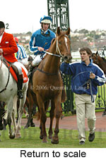 Return to scale (15361 bytes)