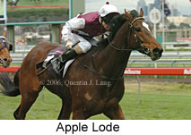 Apple Lode (14872 bytes)