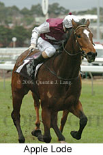 Apple Lode (14872 bytes)