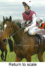 Return to scale (15361 bytes)