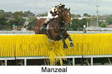 Manzeal (14872 bytes)