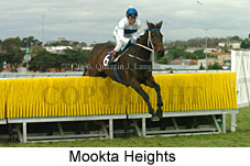 Mookta Heights (14872 bytes)