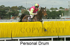 Personal Drum (14872 bytes)