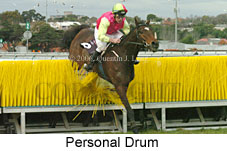 Personal Drum (18630 bytes)