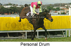 Personal Drum (14872 bytes)