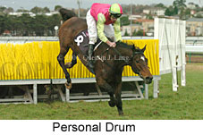 Personal Drum (14872 bytes)