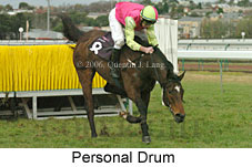 Personal Drum (14872 bytes)