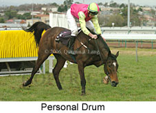 Personal Drum (14872 bytes)