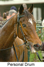 Personal Drum (14872 bytes)