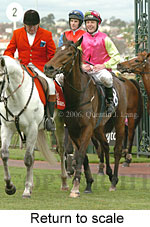 Return to scale (15361 bytes)