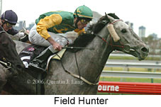 Field Hunter (14872 bytes)
