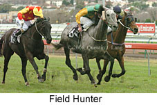 Field Hunter (14872 bytes)