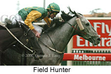 Field Hunter (14872 bytes)