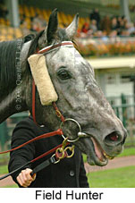 Field Hunter (14872 bytes)