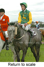 Return to scale (15361 bytes)