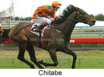 Chitabe (14872 bytes)