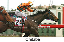 Chitabe (14872 bytes)