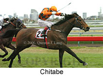 Chitabe (14872 bytes)