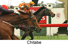 Chitabe (14872 bytes)