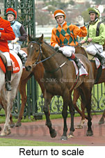 Return to scale (15361 bytes)