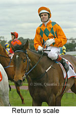 Return to scale (15361 bytes)