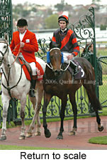 Return to scale (15361 bytes)