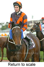 Return to scale (15361 bytes)