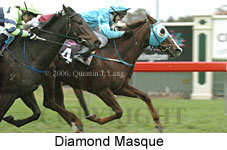 Diamond Masque (14872 bytes)