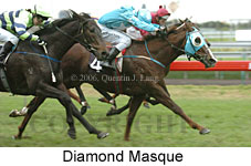 Diamond Masque (14872 bytes)