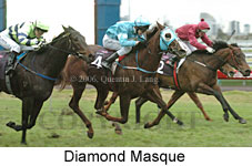 Diamond Masque (14872 bytes)