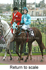 Return to scale (15361 bytes)