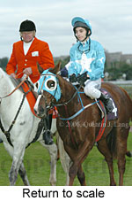 Return to scale (15361 bytes)