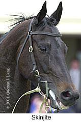 r2skinjite2.jpg (9293 bytes)